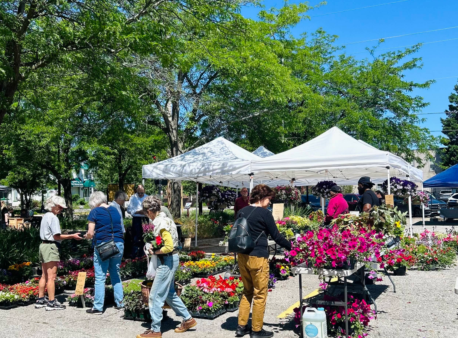 Michigan City Farmers Market